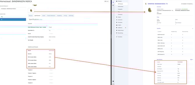 google-1758744865934